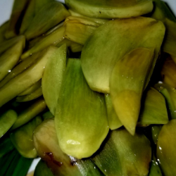 Korean Style Pickled Garlic