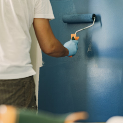 Interior Painting or Staining