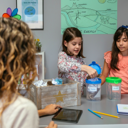 Assessments & Evaluations