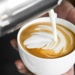 Signature Lattes