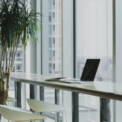 Office Cleaning Services