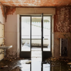 Water Damage & Flood Cleanup Services