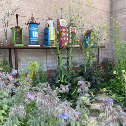 Rooted Heritage Garden