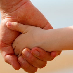 Windermere Foundation