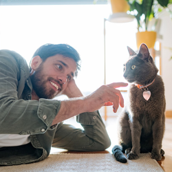 Pet Insurance