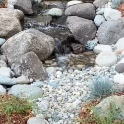 Pond-less Water Feature Consultation