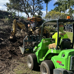Full-Service Tree Care & Maintenance