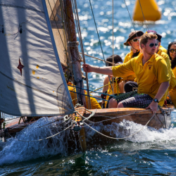 Educational Consultation