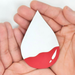 Donate Blood, Plasma and Platelets