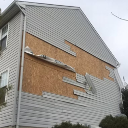 Wind Damage