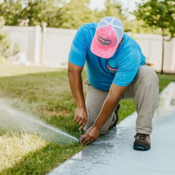 Spring System Activation