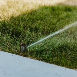 Sprinkler System Installation