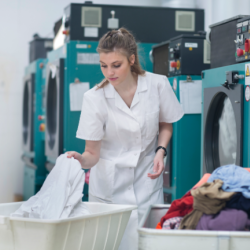 Regular Laundered Services