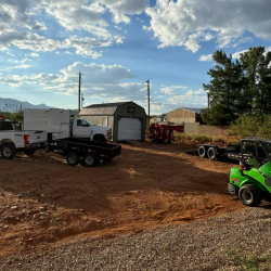  Additional Tree Care & Arborist Services