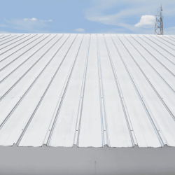 Commercial Roof Coating Services