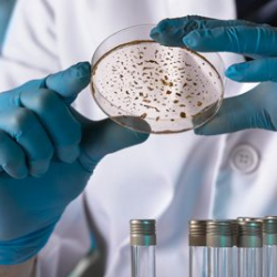 Environmental Laboratory Services