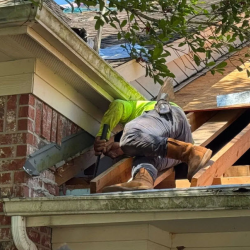 Skylight & Ventilation Upgrades