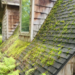 Roof Cleaning