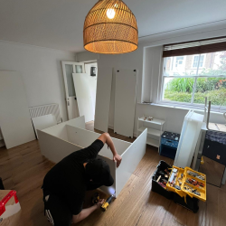 Furniture Assistance