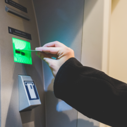 Customize Your Experience