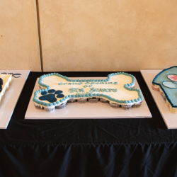 Birthday Party Packages