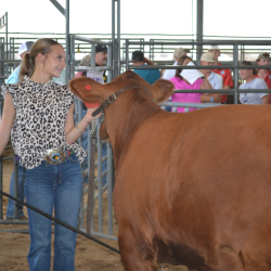 Livestock Show & Mech Ag Show