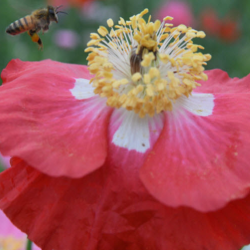 Nature Trails & Wildlife Observation Services