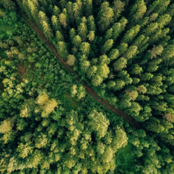 Become a Crime Stopper Business Member