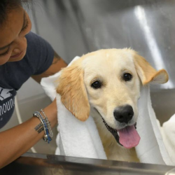 Conditioning Treatment