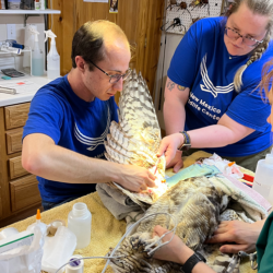 Community Outreach- Information Table