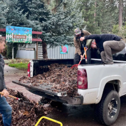 Regenerative Connection