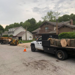 Storm Damage Cleanup