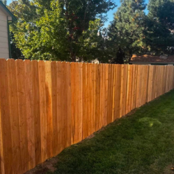 Wood Fencing