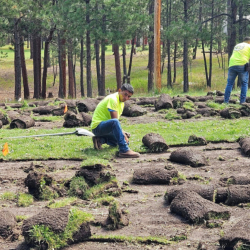 Lawn Installation and Irrigation