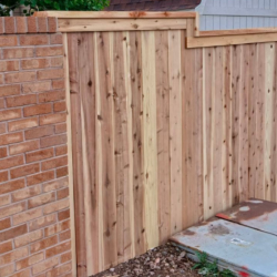 Wood Fence Staining