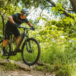 Bike Rentals