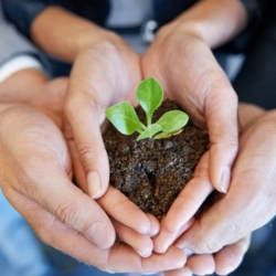 Investment Management and Behaviorial Finance