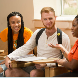 Transfer Student Services