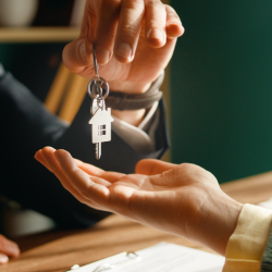 Probate and Estate Law