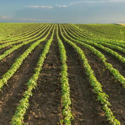 Seed Applied Technologies