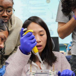 Experiential Learning