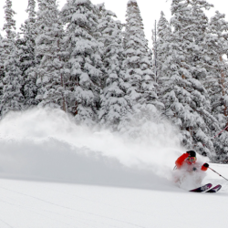 Ski & Snowboard Delivery