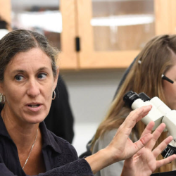 Undergraduate Programs