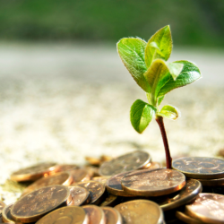 Investments
