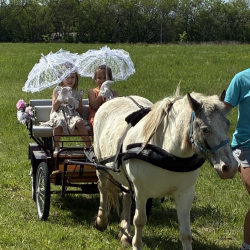 Farm Events