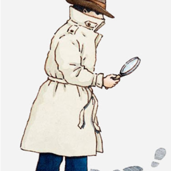 Private Investigation Services