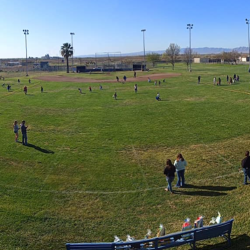 Zombie & Leprechaun 5K Run