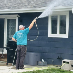 Home and Business Soft Washing