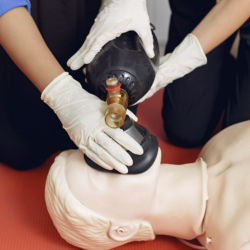 Training & Workshops