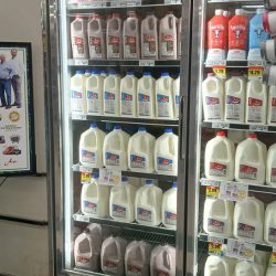 Dairy